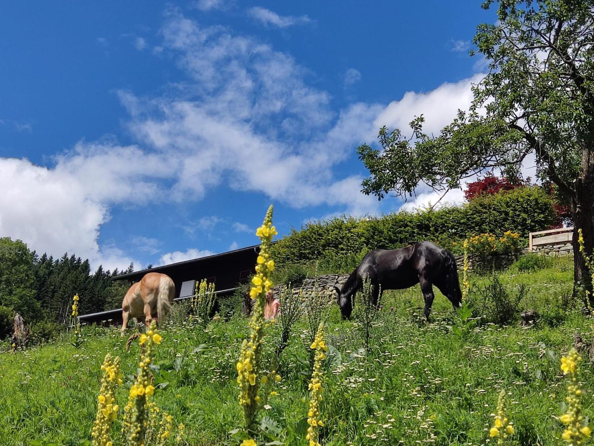 Appartement&Chalets Waldhof Flattach Buitenkant foto